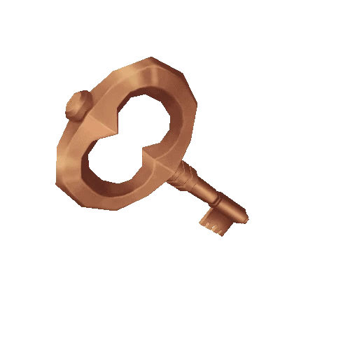 48_bronz key